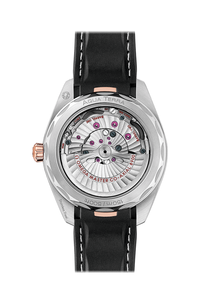 Omega Aqua Terra 150M Watch