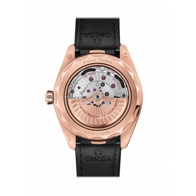 Omega Aqua Terra 150M Watch