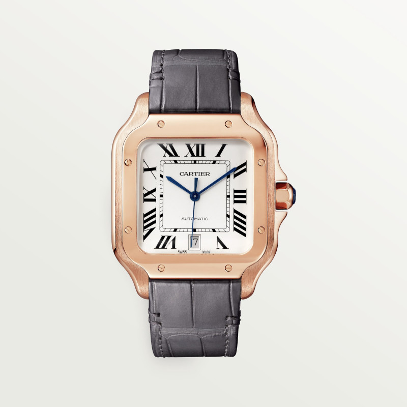 Santos de Cartier watch