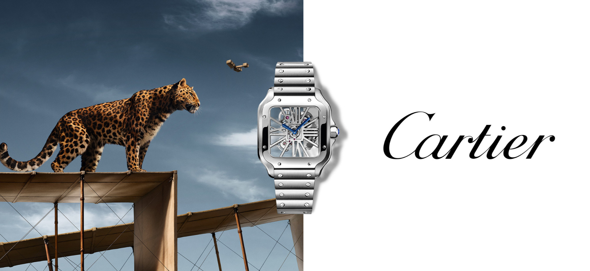Icon Watches
de Cartier